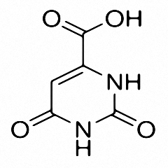 Orotic acid(65-86-1)